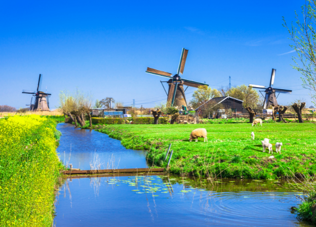 Canadian cultural elements