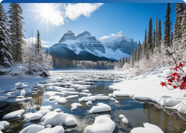 Canadian cultural elements